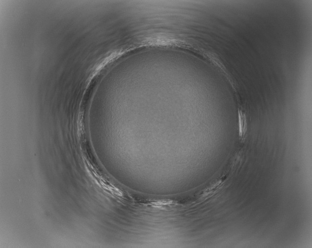 X0000078030579200610271302