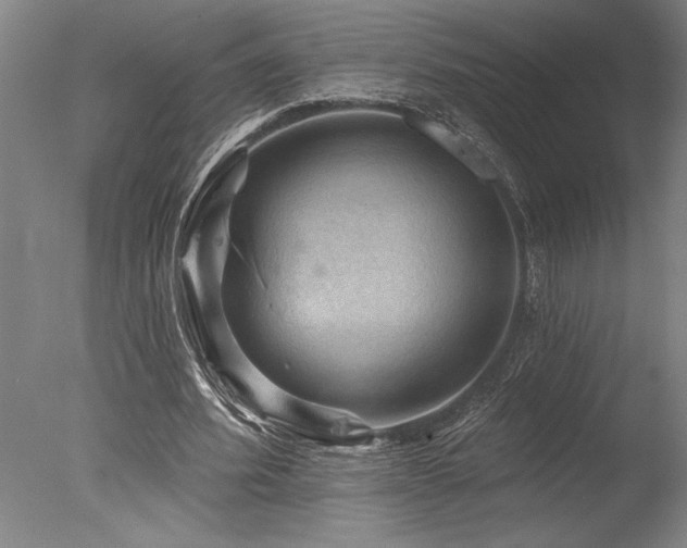 X0000078030580200610271302