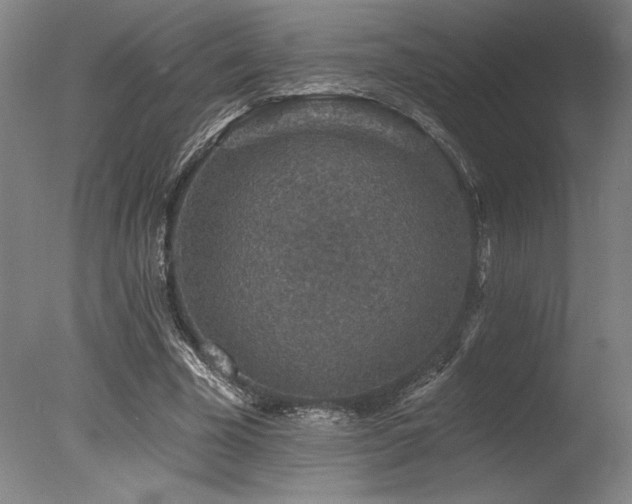 X0000078030585200610271302