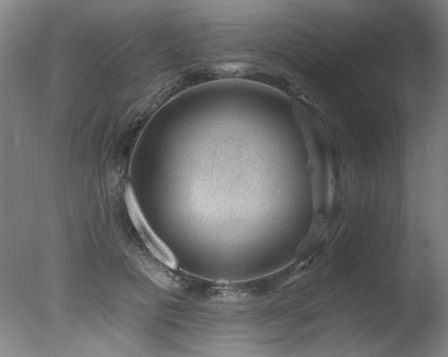 X0000078030601200610271302