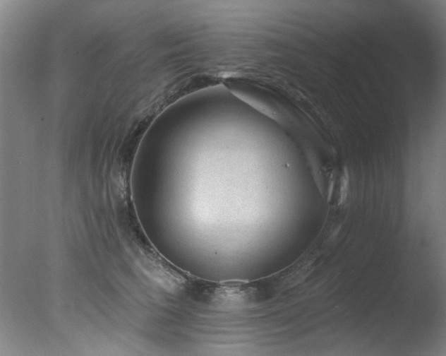 X0000078030613200610271301