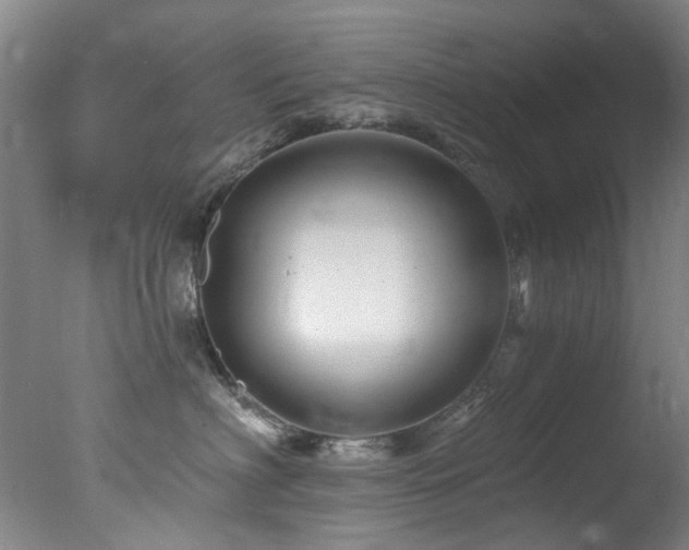 X0000078030622200610271301