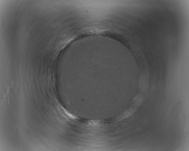 X0000078030624200610271301