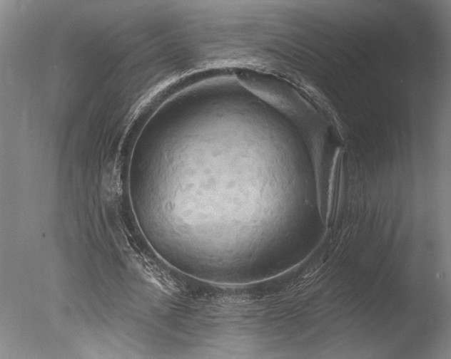 X0000078030628200610271300