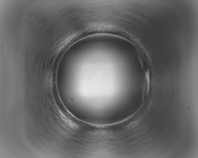 X0000078030629200610271300
