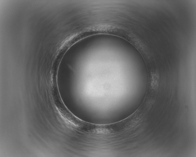 X0000078030636200610271301