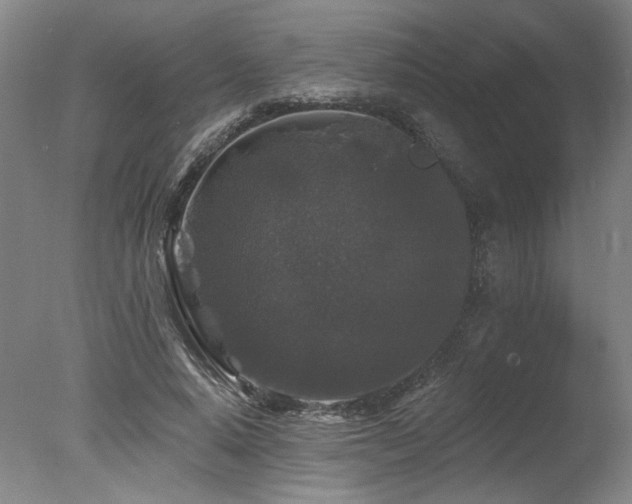 X0000078030640200610271301