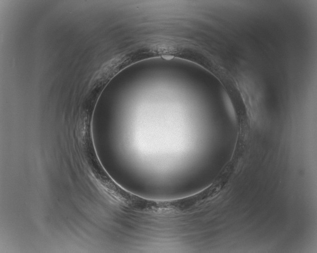 X0000078030645200610271301