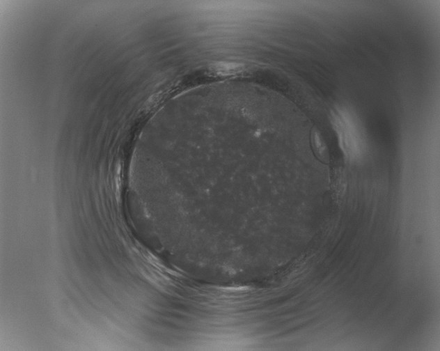 X0000078030653200610271301