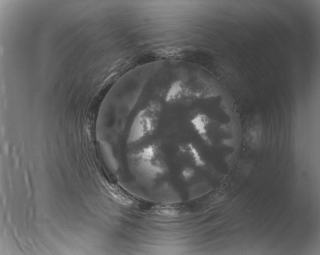 X0000078030658200610271301