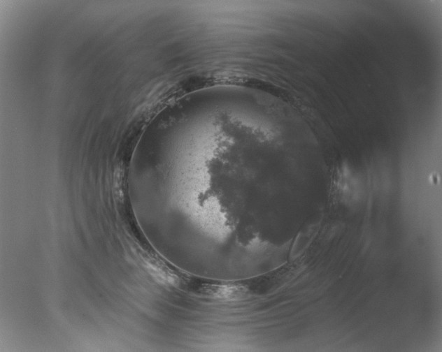 X0000078030663200610271301