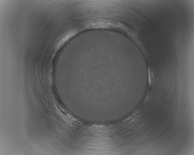 X0000078030675200610271300