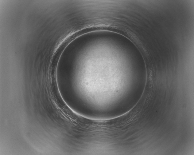 X0000078030676200610271300