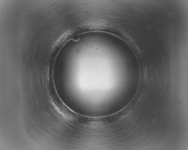 X0000078030686200610271300