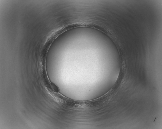 X0000078030688200610271300
