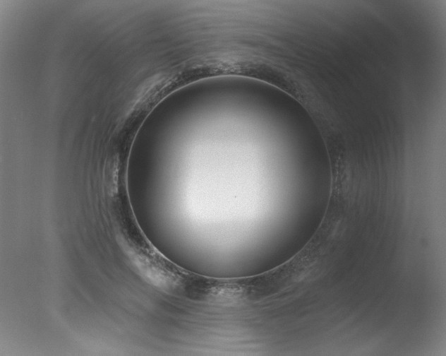 X0000078030694200610271300