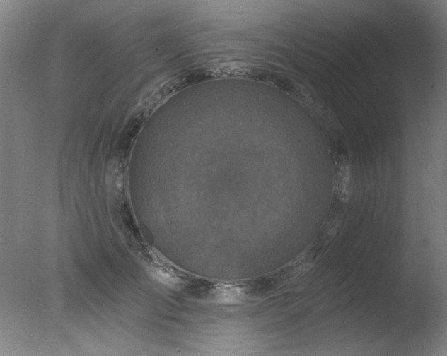 X0000078030701200610271300