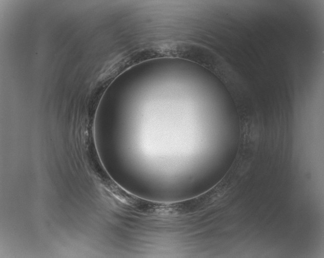 X0000078030702200610271300