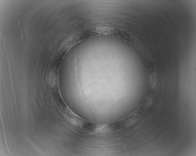 X0000078030705200610271300