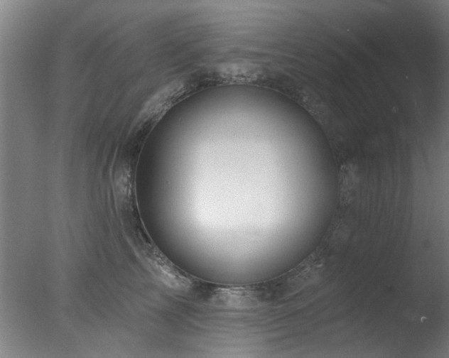 X0000078030713200610271300