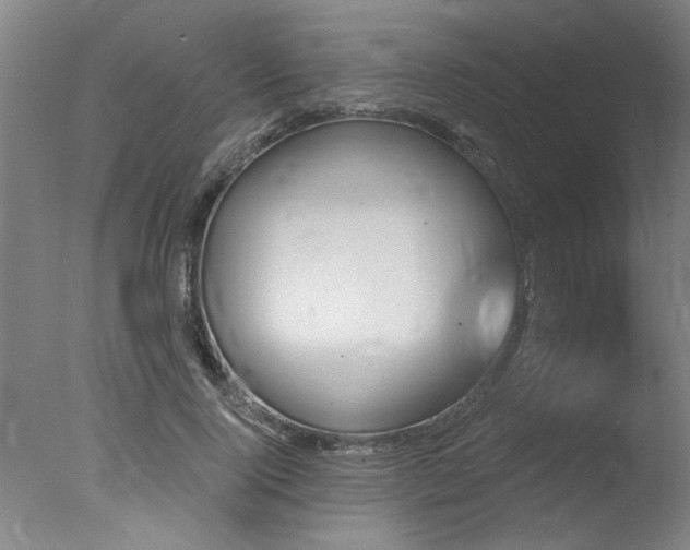 X0000078030740200610271259