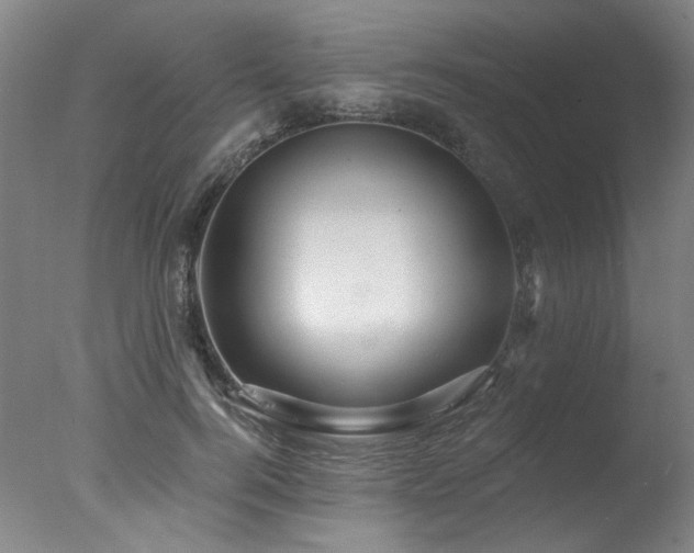 X0000078030744200610271259