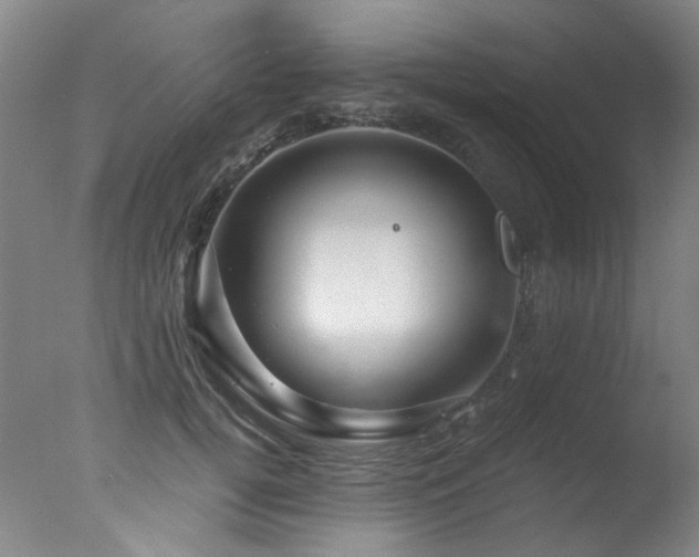 X0000078030752200610271259