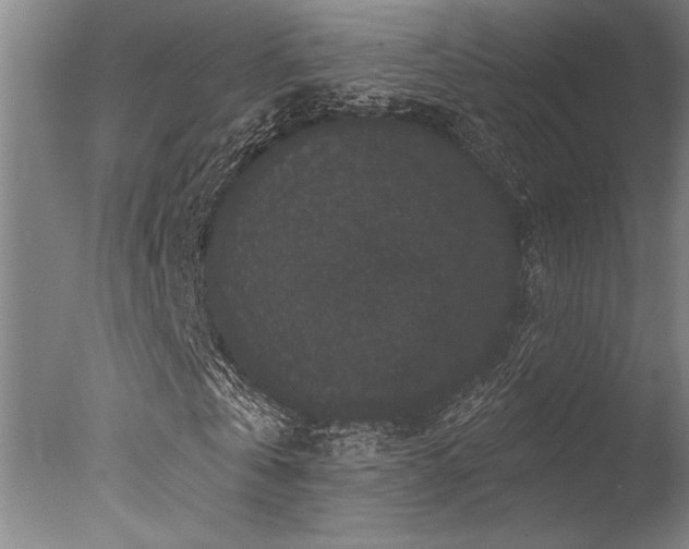 X0000078030769200610271259