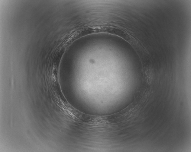 X0000078030770200610271259