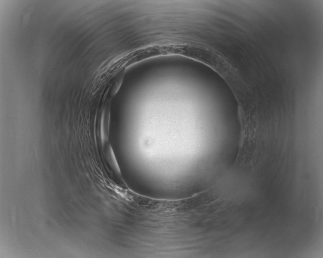 X0000078030773200610271259