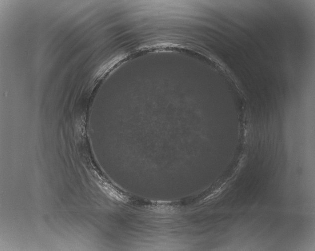 X0000078030785200610271258