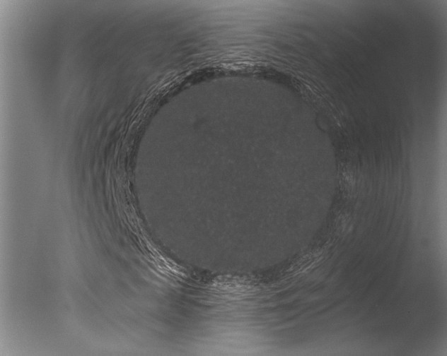 X0000078030817200610271257