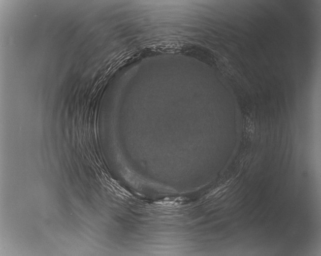 X0000078030818200610271257