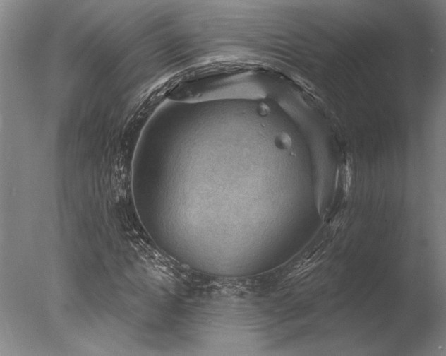 X0000078030822200610271257