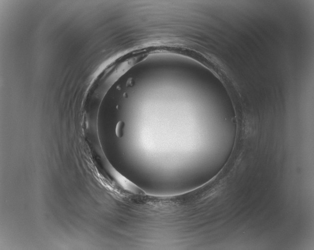X0000078030830200610271257
