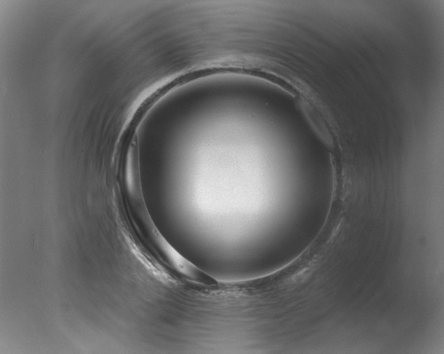 X0000078030838200610271257