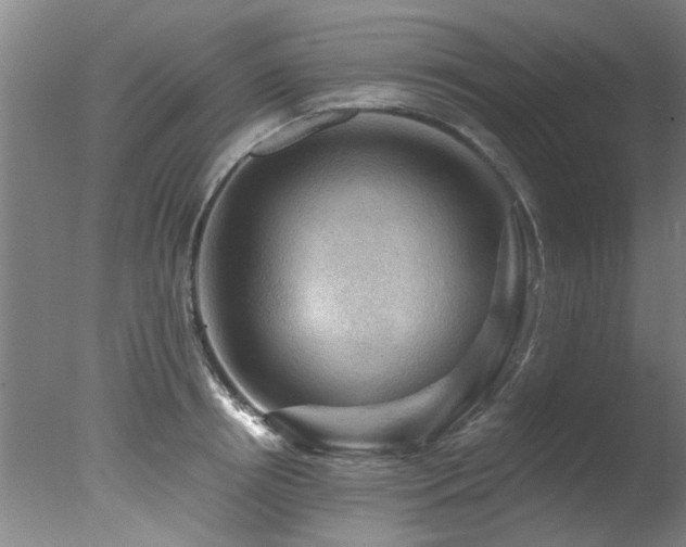 X0000078030850200610271258