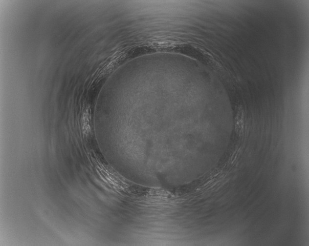 X0000078030866200610271257