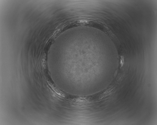 X0000078030867200610271257