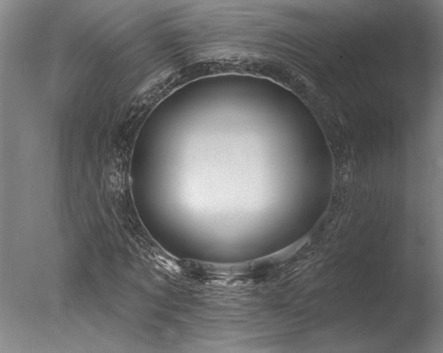 X0000078030869200610271257
