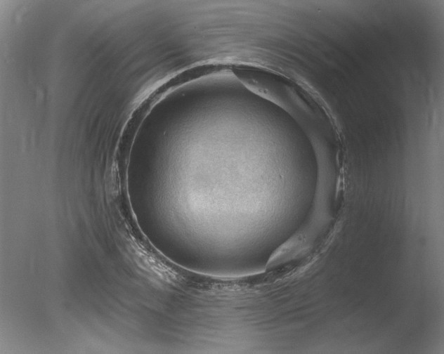 X0000078030876200610271257