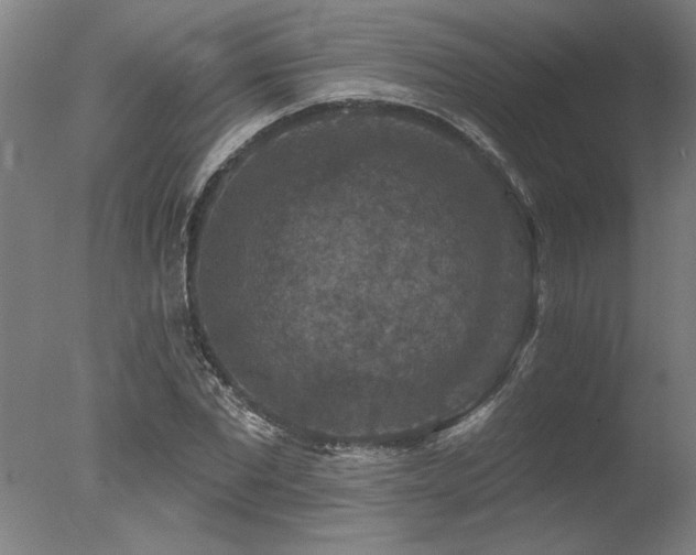 X0000078030877200610271257