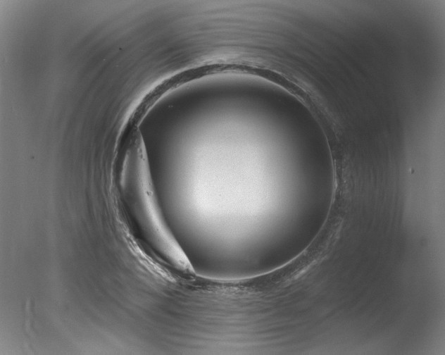 X0000078030880200610271257