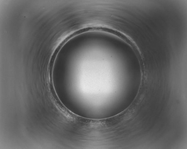 X0000078030887200610271257