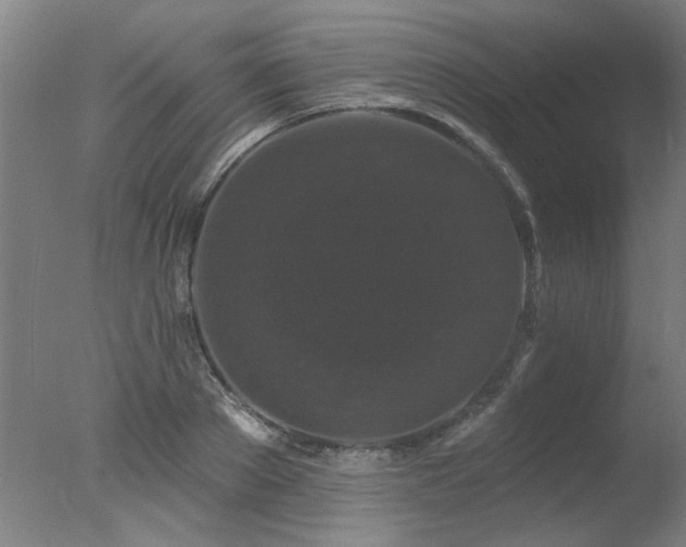 X0000078030889200610271257