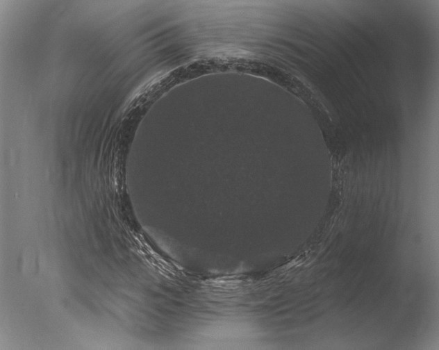 X0000078030919200610271256