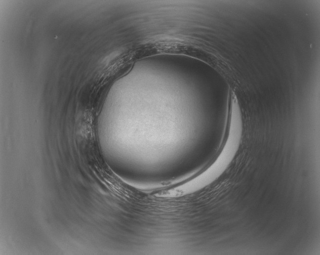 X0000078030964200610271255