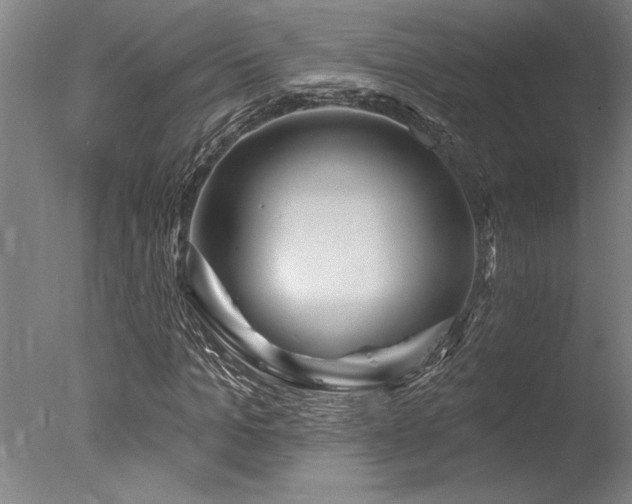 X0000078030965200610271255