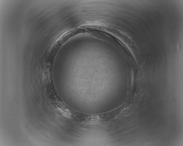 X0000078030968200610271255