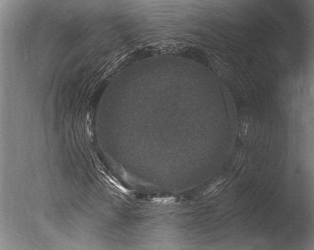 X0000078031010200610271254